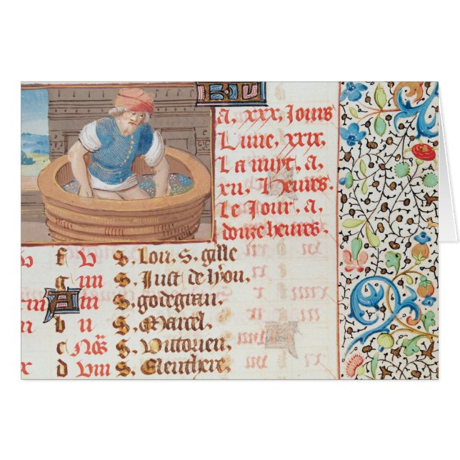 September: Trampling-druiven (Voorkant Horizontaal)