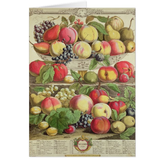 september, uit 'Twaalf maanden fruit' (Voorkant)