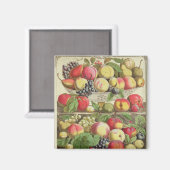 september, uit 'Twaalf maanden fruit' Magneet (Voorkant / Achterkant)