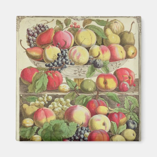 september, uit 'Twaalf maanden fruit' Magneet (Voorkant)
