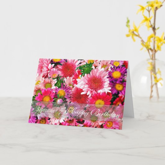September Verbluffende Roze Asters voor Verjaardag Kaart (Gele Bloem)