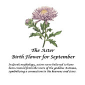 September Verjaardag Maand Bloem Aster 16 oz Thermosbeker