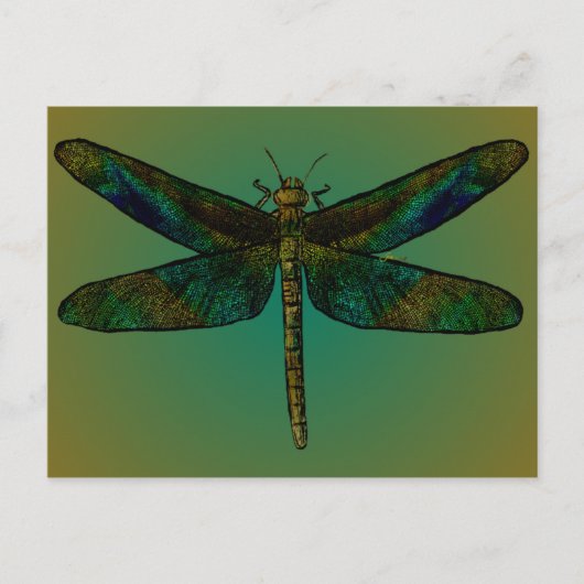 September Wing Dusk Briefkaart (Voorkant)