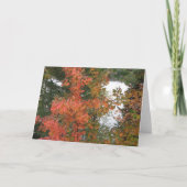 septembermorgen kaart (Voorkant)