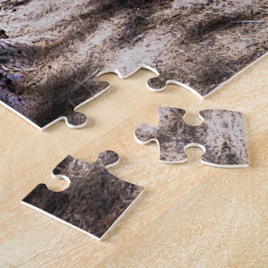 Sequioa Tree Sequioa National Park California. Jig Legpuzzel (Zijkant)