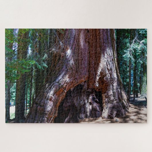 Sequioa Tree Sequioa National Park California. Jig Legpuzzel (Horizontaal)
