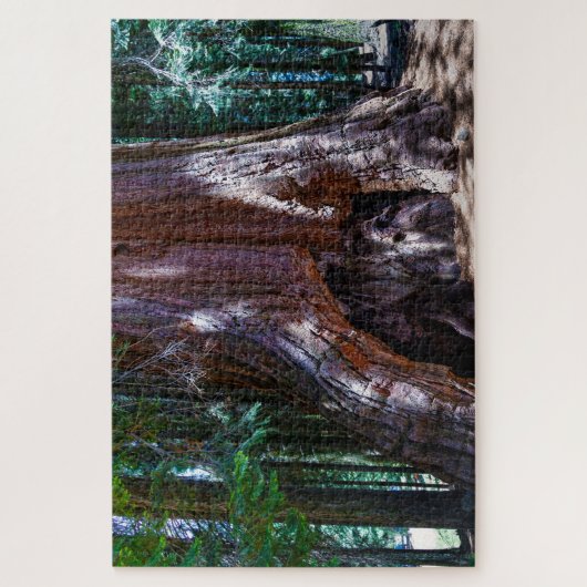 Sequioa Tree Sequioa National Park California. Jig Legpuzzel (Verticaal)