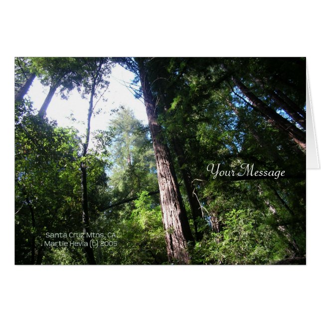 sequobossen (Voorkant Horizontaal)