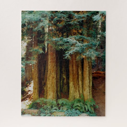 sequobossen legpuzzel (Verticaal)