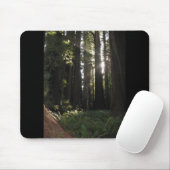 sequobossen muismat (Met muis)
