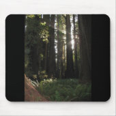 sequobossen muismat (Voorkant)