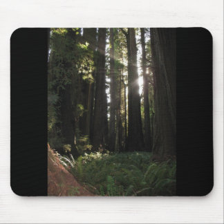 sequobossen muismat