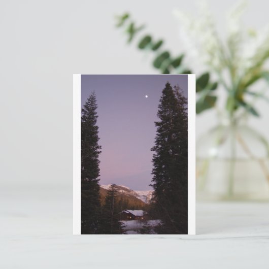 Sequoia Briefkaart (Staand voorkant)