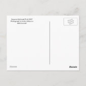 Sequoia Briefkaart (Achterkant)