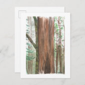 sequoia-briefkaart briefkaart (Voorkant / Achterkant)