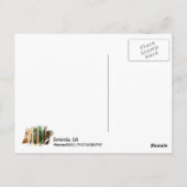 Sequoia Briefkaart! Briefkaart (Achterkant)