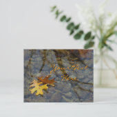 Sequoia Briefkaarten (Staand voorkant)