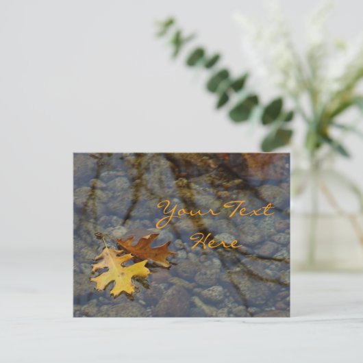 Sequoia Briefkaarten (Staand voorkant)