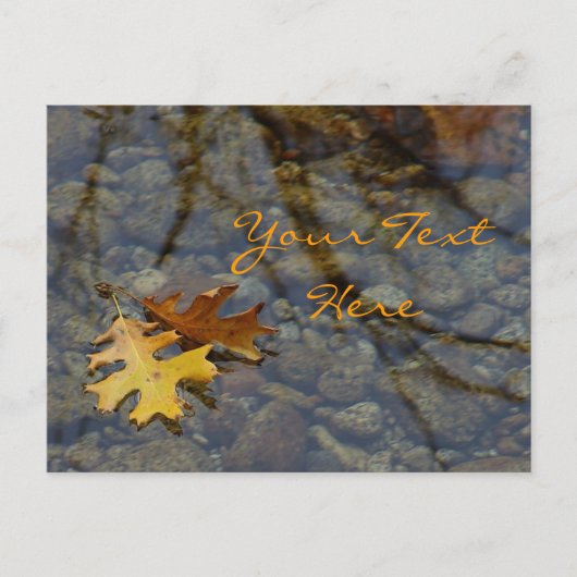 Sequoia Briefkaarten (Voorkant)