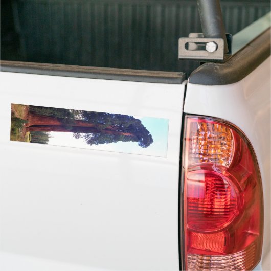 Sequoia Bumpersticker (Op Truck)