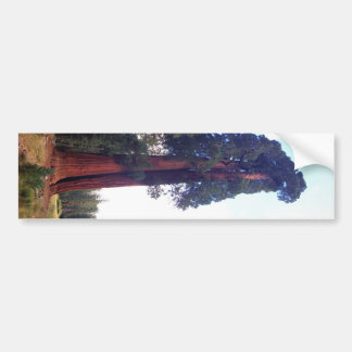 Sequoia Bumpersticker
