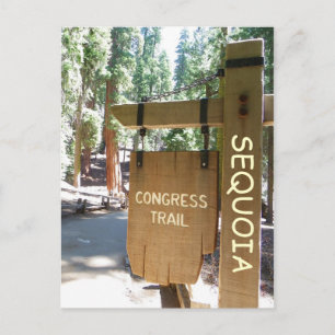 Sequoia/Congress Trail Briefkaart! Briefkaart