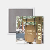 Sequoia/Congress Trail Magnet! Magneet (Voorkant / Achterkant)