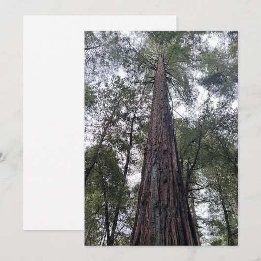 Sequoia Flat Kerstkaart (Voorkant / Achterkant)