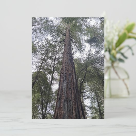 Sequoia Flat Kerstkaart (Staand voorkant)