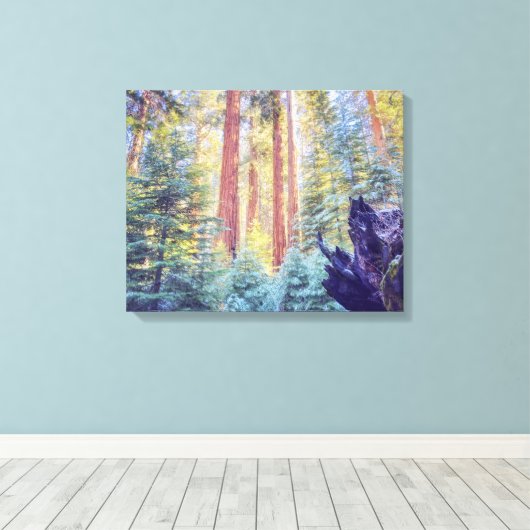 Sequoia Forest Canvas Afdruk (Insitu (Houten vloer))