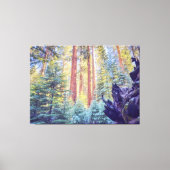 Sequoia Forest Canvas Afdruk (Voorkant)