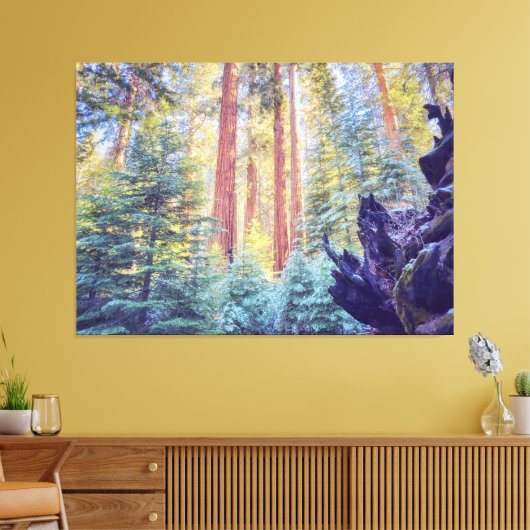 Sequoia Forest Canvas Afdruk (Insitu (Woonkamer))