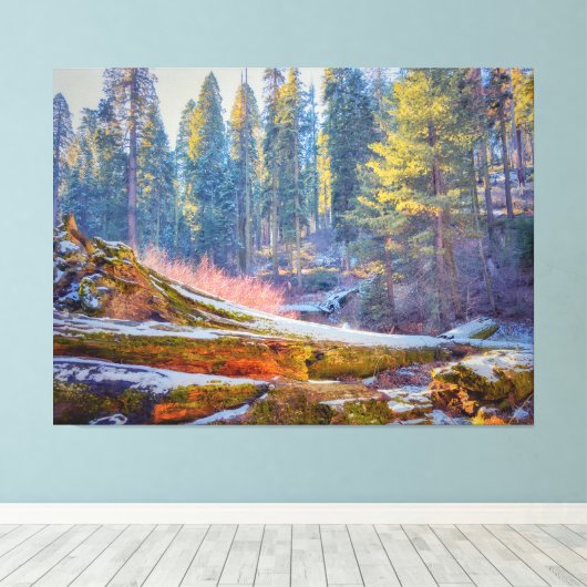 Sequoia Forest Canvas Afdruk (Insitu (Houten vloer))