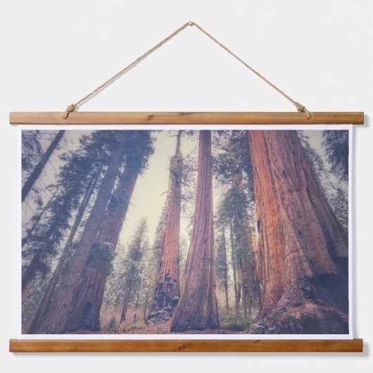 Sequoia Forest Hangend Wandkleed (Voorkant)