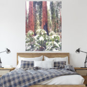 Sequoia Forest in de winter Canvas Afdruk (Insitu (Slaapkamer))