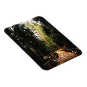 Sequoia Forest, Park Trail, Sequoia National Park Magneet (Rechterzijde)