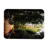 Sequoia Forest, Park Trail, Sequoia National Park Magneet (Horizontaal)