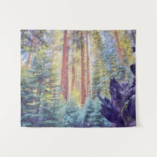 Sequoia Forest Wandkleed (Voorkant (horizontaal))