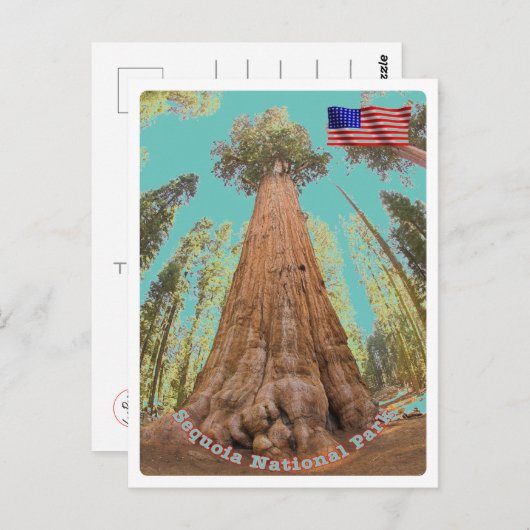 Sequoia - General Sherman Tree - Verenigde Staten  Briefkaart (Voorkant / Achterkant)