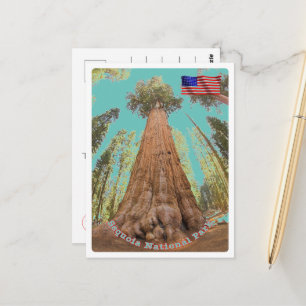 Sequoia - General Sherman Tree - Verenigde Staten  Briefkaart