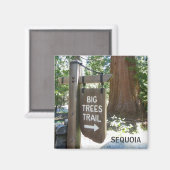 Sequoia Grote Bomen Trail Magnet! Magneet (Voorkant / Achterkant)