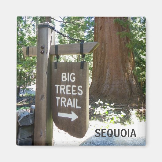 Sequoia Grote Bomen Trail Magnet! Magneet (Voorkant)