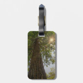 Sequoia kalmeren met foto van Sunburst Natuur Bagagelabel (Achterkant verticaal)
