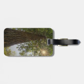 Sequoia kalmeren met foto van Sunburst Natuur Bagagelabel (Achterkant horizontaal)