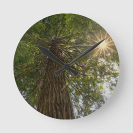 Sequoia kalmeren met foto van Sunburst Natuur Ronde Klok