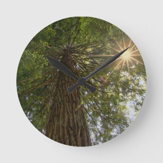 Sequoia kalmeren met foto van Sunburst Natuur Ronde Klok (Voorkant)
