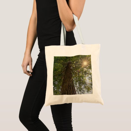 Sequoia kalmeren met foto van Sunburst Natuur Tote Bag (Voorkant (product))