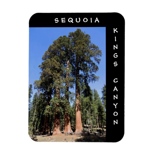 Sequoia Kings Canyon Magnet Magneet (Verticaal)