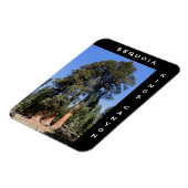 Sequoia Kings Canyon Magnet Magneet (Linkerzijde)