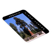 Sequoia Kings Canyon Magnet Magneet (Rechterzijde)